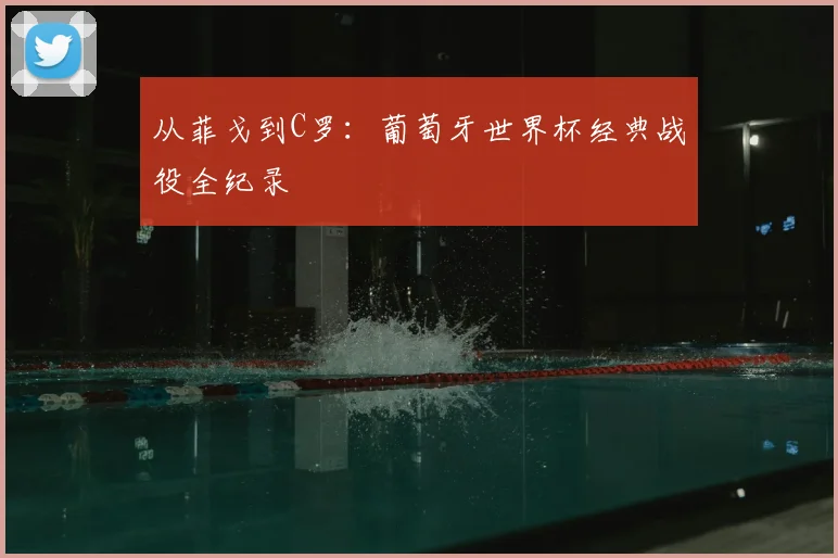 从菲戈到C罗：葡萄牙世界杯经典战役全纪录