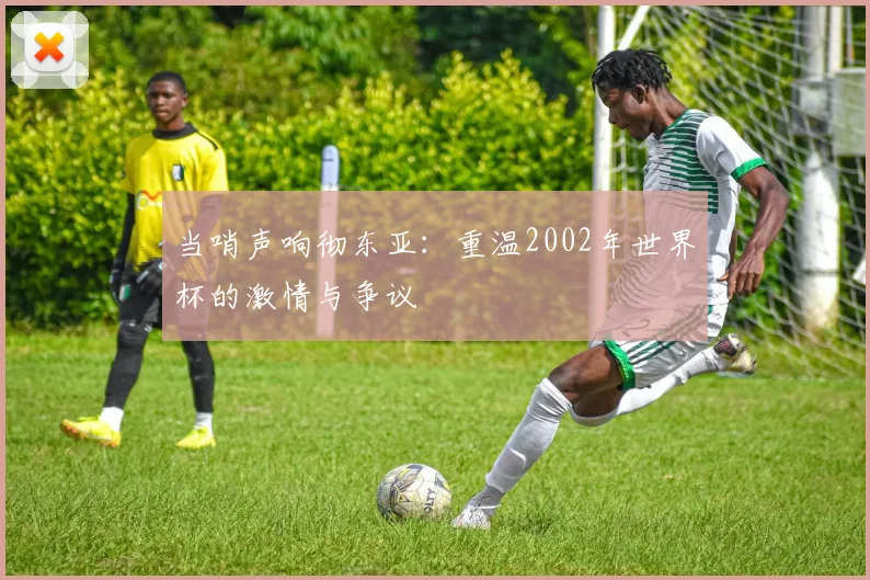 当哨声响彻东亚：重温2002年世界杯的激情与争议