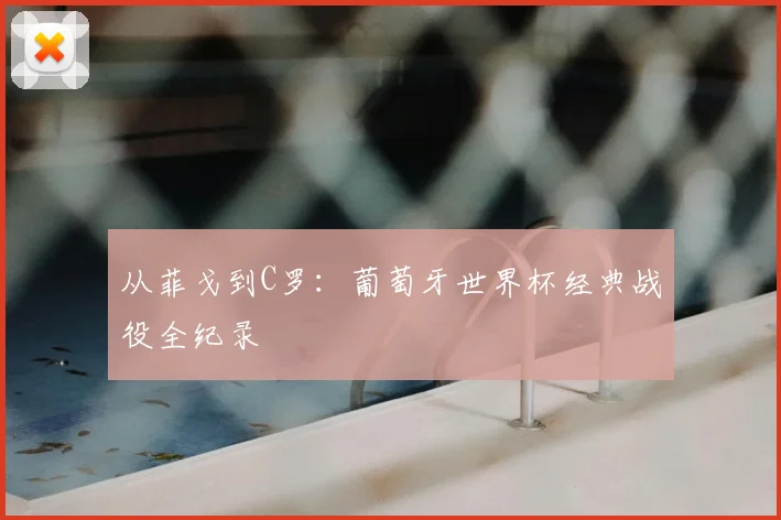 从菲戈到C罗：葡萄牙世界杯经典战役全纪录