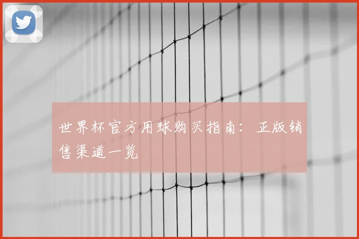 世界杯官方用球购买指南：正版销售渠道一览