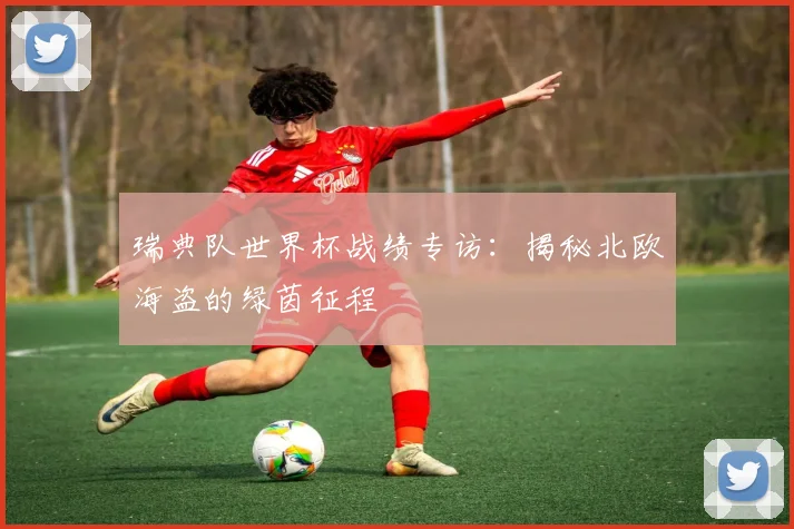 瑞典队世界杯战绩专访：揭秘北欧海盗的绿茵征程